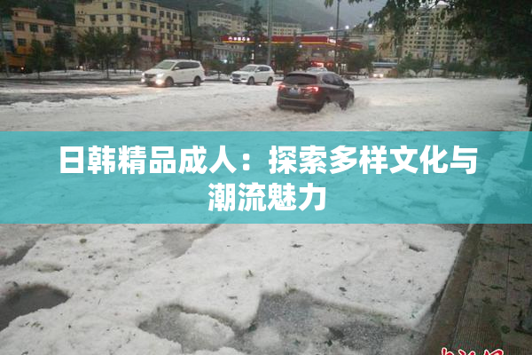 日韩精品成人：探索多样文化与潮流魅力