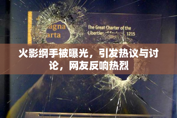 火影纲手被曝光，引发热议与讨论，网友反响热烈