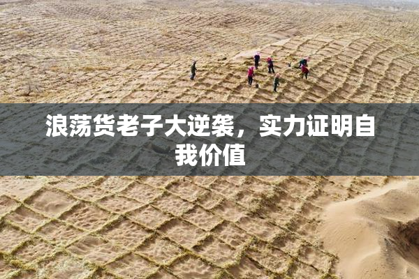 浪荡货老子大逆袭，实力证明自我价值