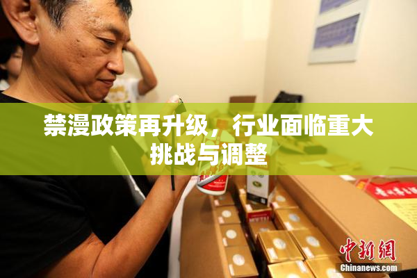 禁漫政策再升级，行业面临重大挑战与调整