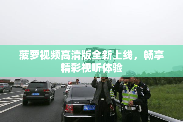 菠萝视频高清版全新上线，畅享精彩视听体验