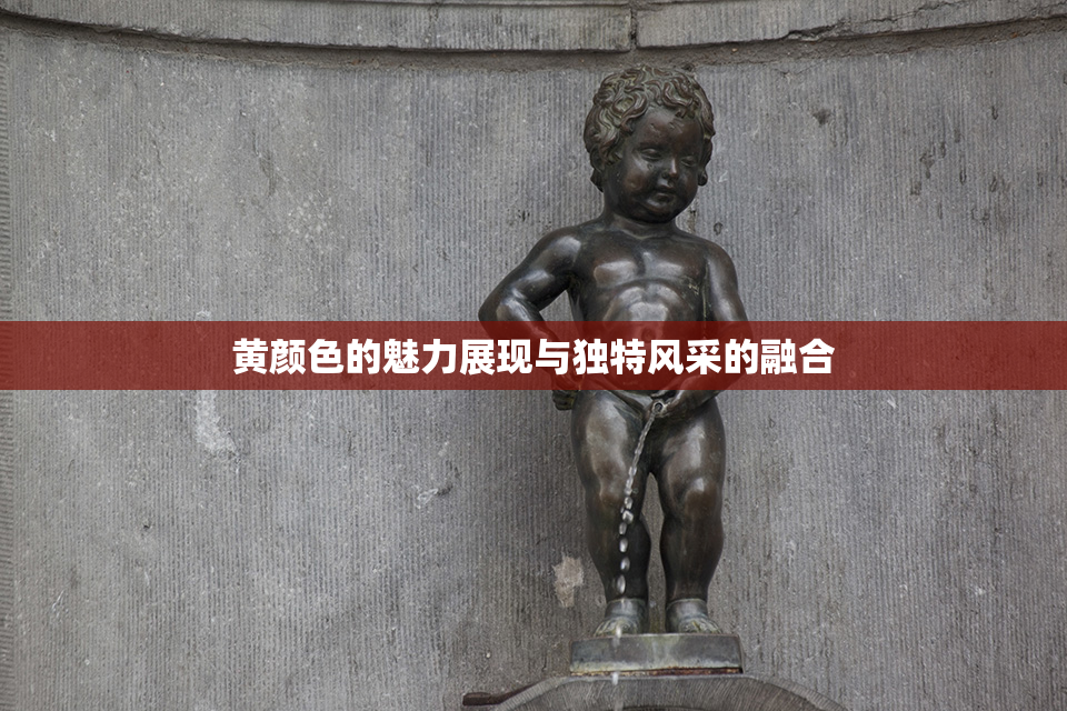 黄颜色的魅力展现与独特风采的融合