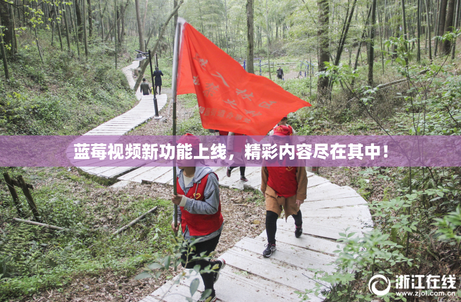 蓝莓视频新功能上线，精彩内容尽在其中！