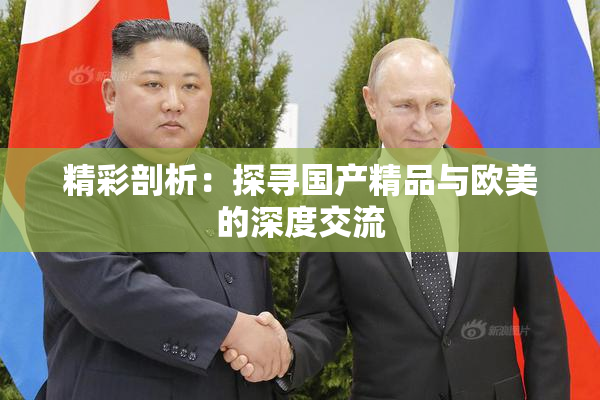 精彩剖析：探寻国产精品与欧美的深度交流