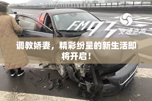 调教娇妻，精彩纷呈的新生活即将开启！