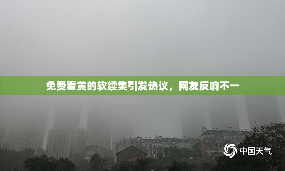免费看黄的软续集引发热议，网友反响不一