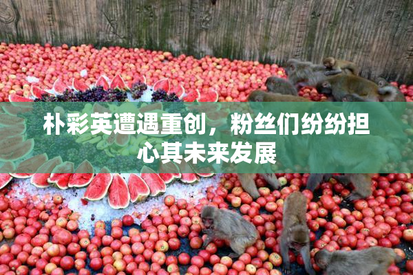 朴彩英遭遇重创，粉丝们纷纷担心其未来发展