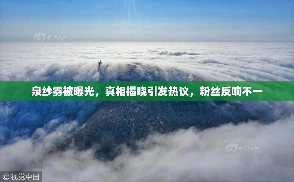 泉纱雾被曝光，真相揭晓引发热议，粉丝反响不一