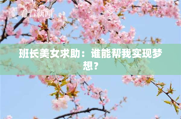 班长美女求助：谁能帮我实现梦想？