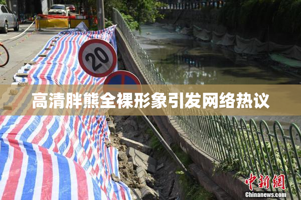 高清胖熊全裸形象引发网络热议