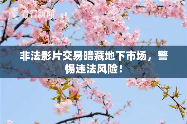 非法影片交易暗藏地下市场，警惕违法风险！