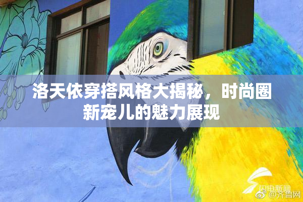 洛天依穿搭风格大揭秘，时尚圈新宠儿的魅力展现