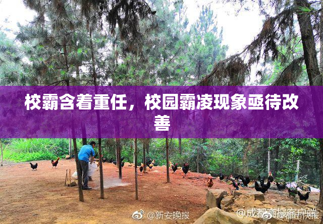 校霸含着重任，校园霸凌现象亟待改善
