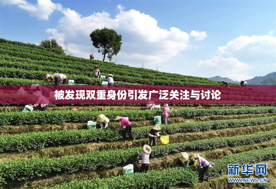 被发现双重身份引发广泛关注与讨论