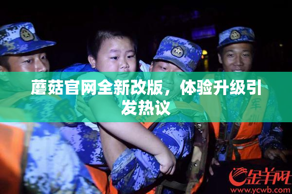蘑菇官网全新改版，体验升级引发热议