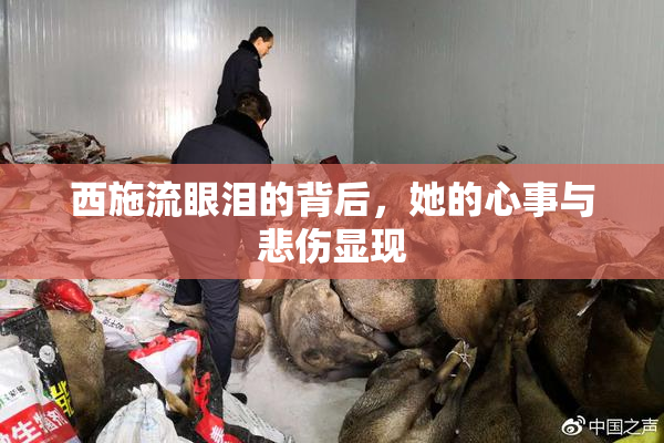 西施流眼泪的背后，她的心事与悲伤显现