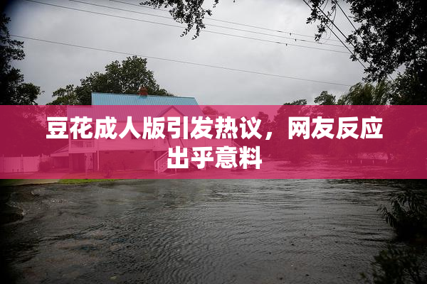 豆花成人版引发热议，网友反应出乎意料