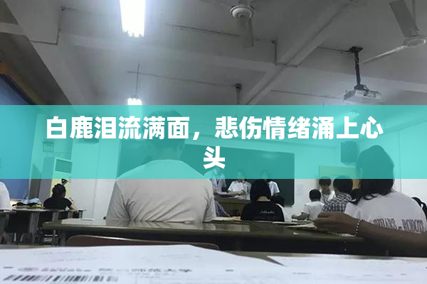 白鹿泪流满面，悲伤情绪涌上心头