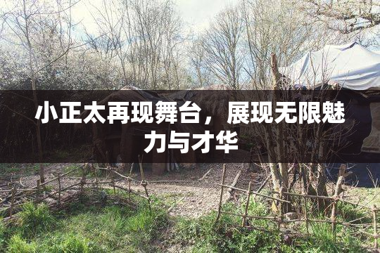 小正太再现舞台，展现无限魅力与才华