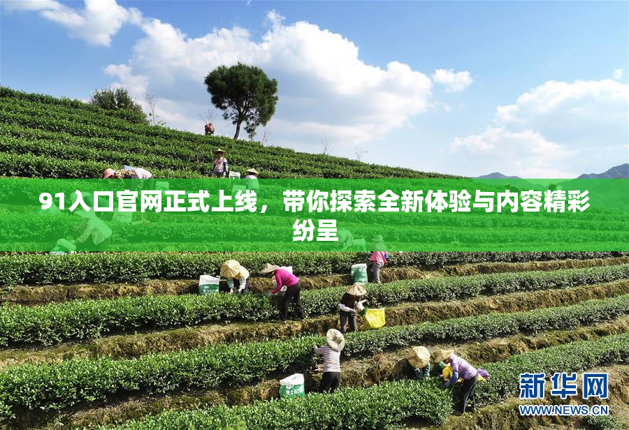 91入口官网正式上线，带你探索全新体验与内容精彩纷呈