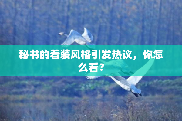 秘书的着装风格引发热议，你怎么看？