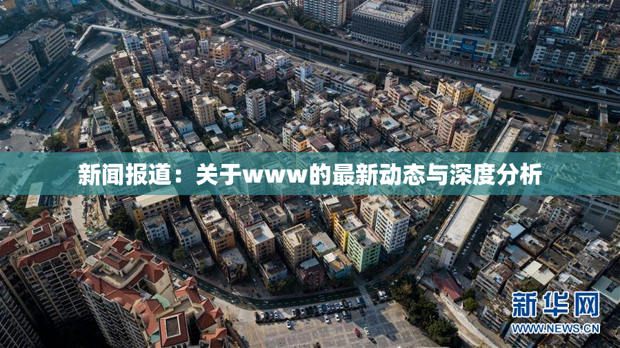 新闻报道：关于www的最新动态与深度分析