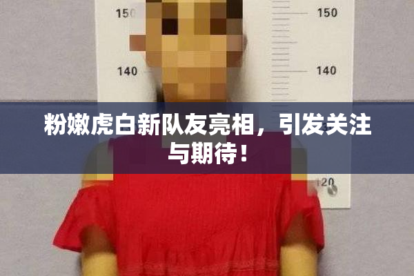 粉嫩虎白新队友亮相，引发关注与期待！