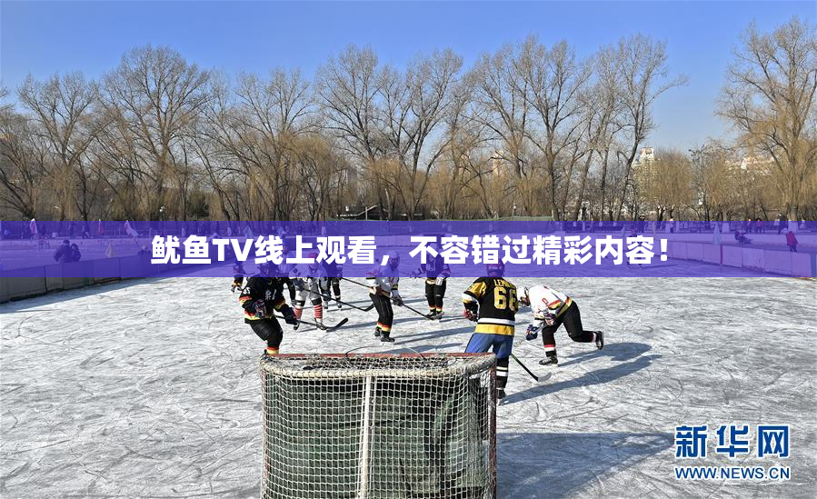 鱿鱼TV线上观看，不容错过精彩内容！