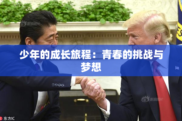 少年的成长旅程：青春的挑战与梦想