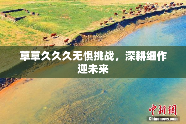 草草久久久无惧挑战，深耕细作迎未来