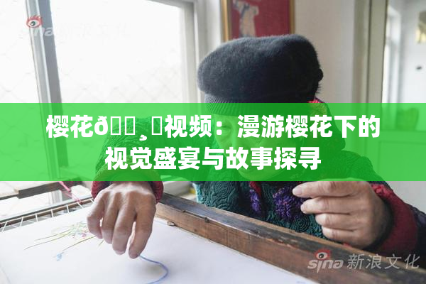 樱花🌸‌视频：漫游樱花下的视觉盛宴与故事探寻