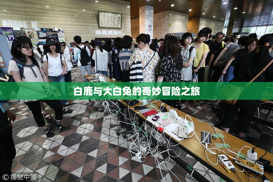 白鹿与大白兔的奇妙冒险之旅
