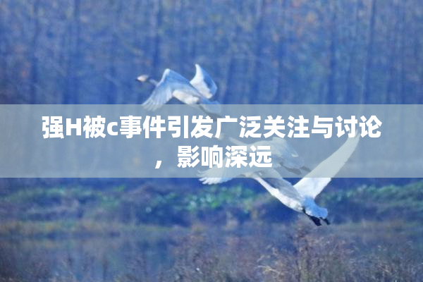 强H被c事件引发广泛关注与讨论，影响深远