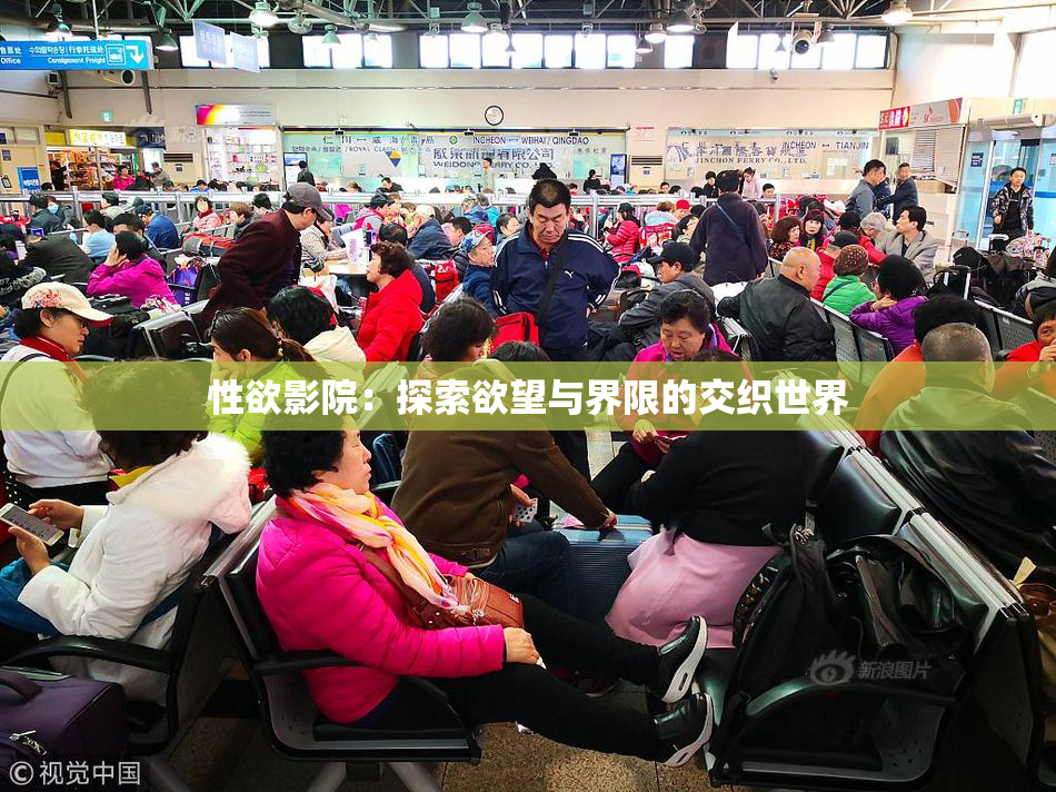 性欲影院：探索欲望与界限的交织世界