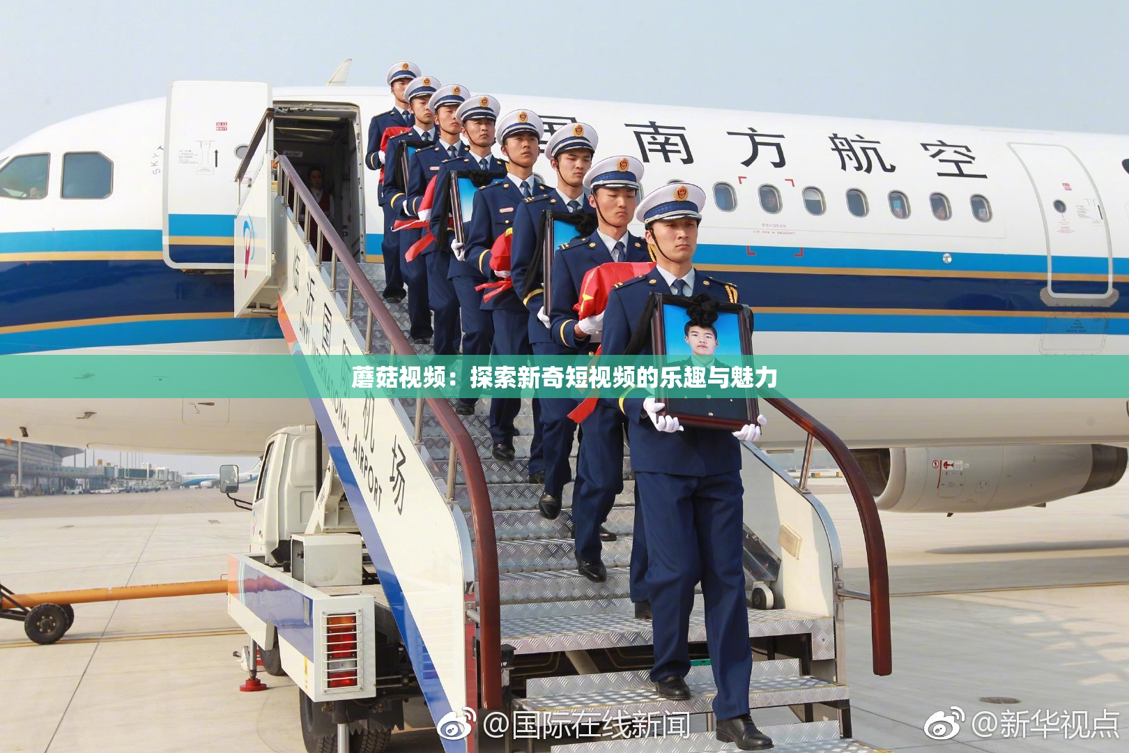 蘑菇视频：探索新奇短视频的乐趣与魅力