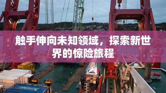 触手伸向未知领域，探索新世界的惊险旅程