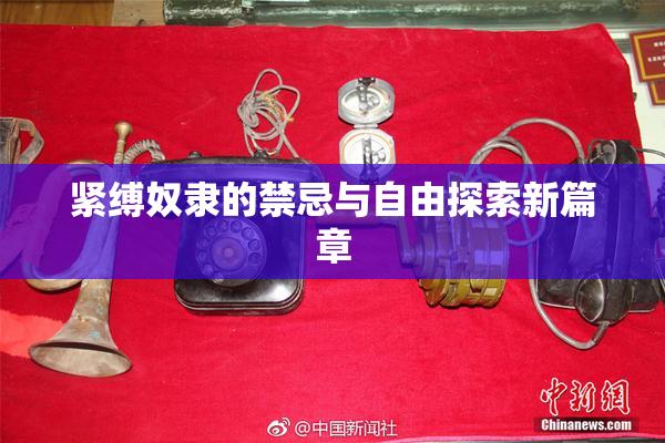 紧缚奴隶的禁忌与自由探索新篇章