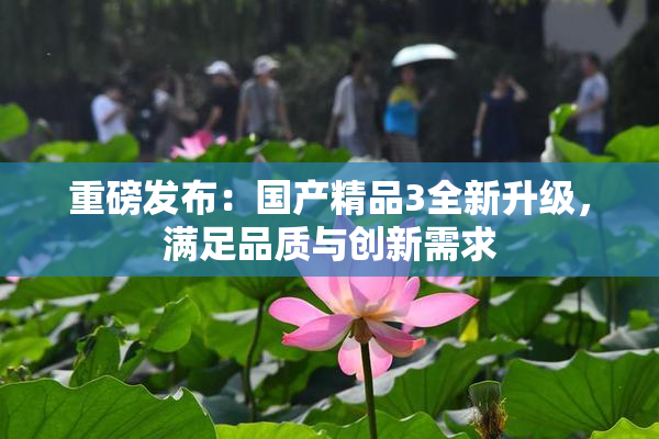 重磅发布：国产精品3全新升级，满足品质与创新需求