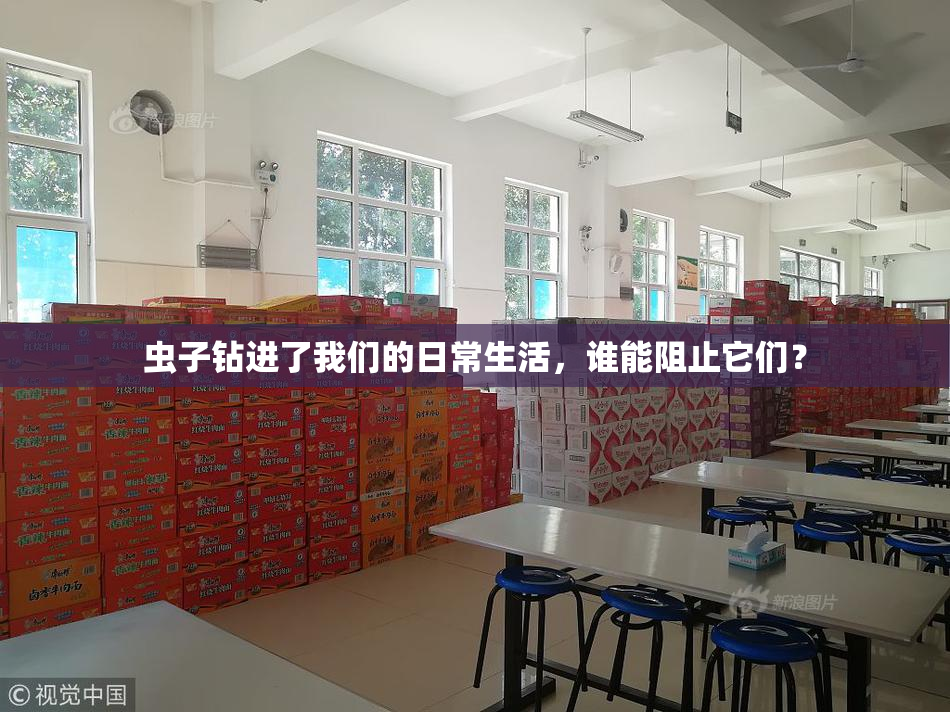 虫子钻进了我们的日常生活，谁能阻止它们？