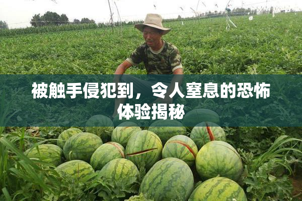 被触手侵犯到，令人窒息的恐怖体验揭秘