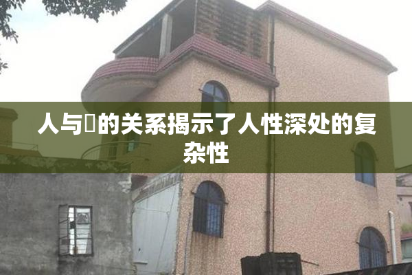 人与嘼的关系揭示了人性深处的复杂性
