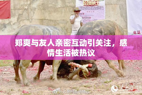 郑爽与友人亲密互动引关注，感情生活被热议