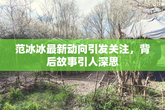 范冰冰最新动向引发关注，背后故事引人深思