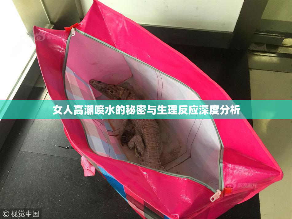 女人高潮喷水的秘密与生理反应深度分析