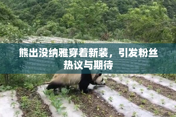 熊出没纳雅穿着新装，引发粉丝热议与期待