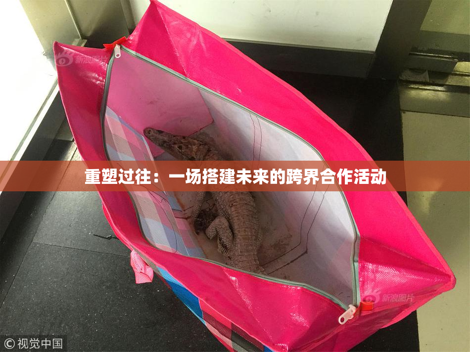 重塑过往：一场搭建未来的跨界合作活动