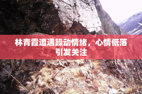 林青霞遭遇躁动情绪，心情低落引发关注