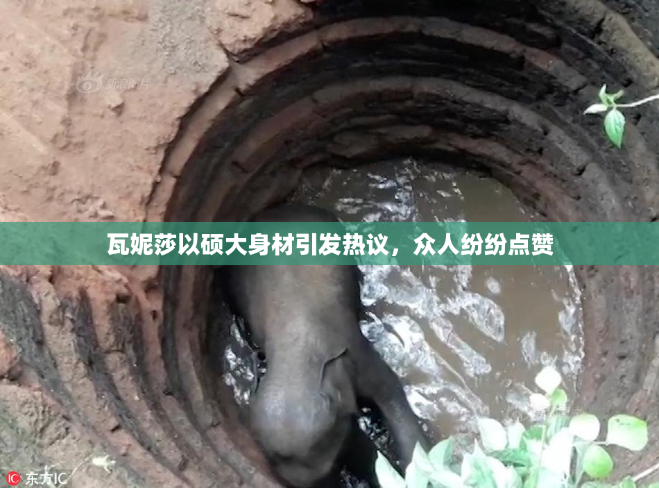 瓦妮莎以硕大身材引发热议，众人纷纷点赞