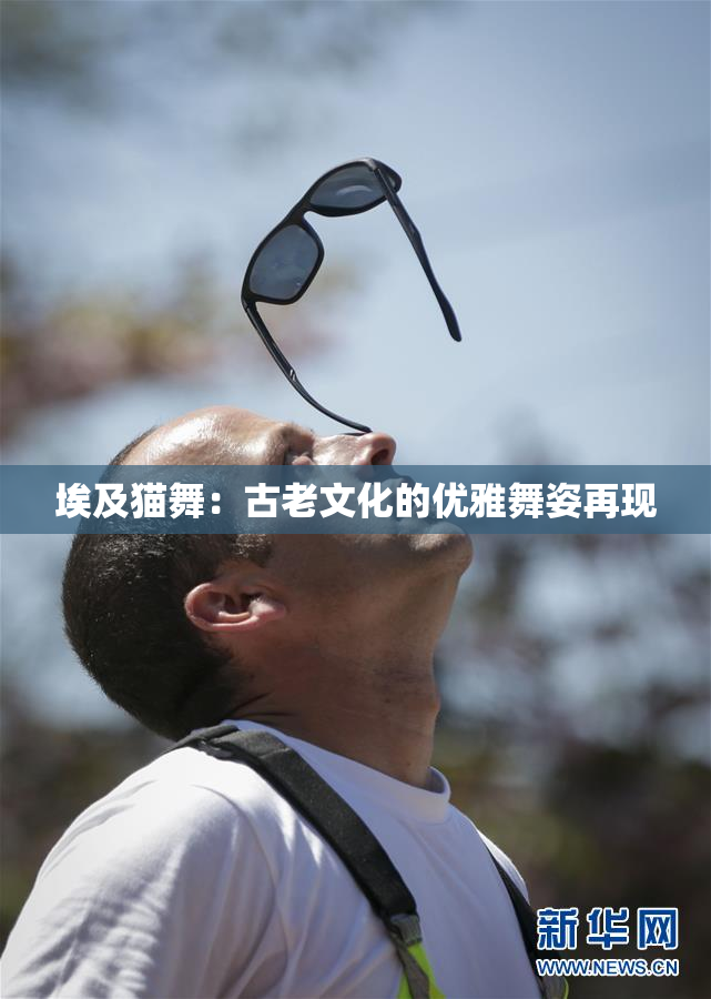 埃及猫舞：古老文化的优雅舞姿再现