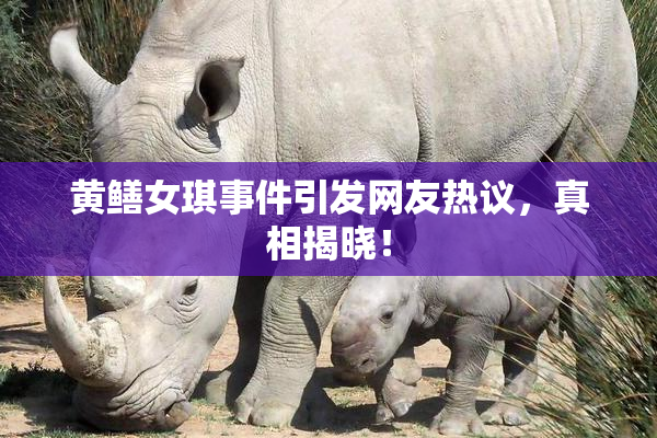 黄鳝女琪事件引发网友热议，真相揭晓！